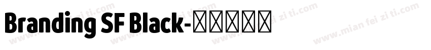 Branding SF Black字体转换